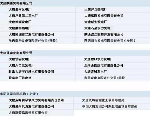 五大电力集团公司下属电厂 部分 明细